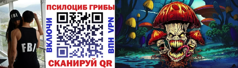 Псилоцибиновые грибы прущие грибы  как найти закладки  Новотроицк 