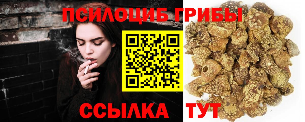 Новотроицк  Галлюциногенные грибы мицелий  где можно купить наркотик  Вход с VPN 