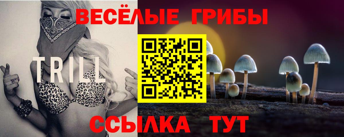 Галлюциногенные грибы ЛСД Новотроицк